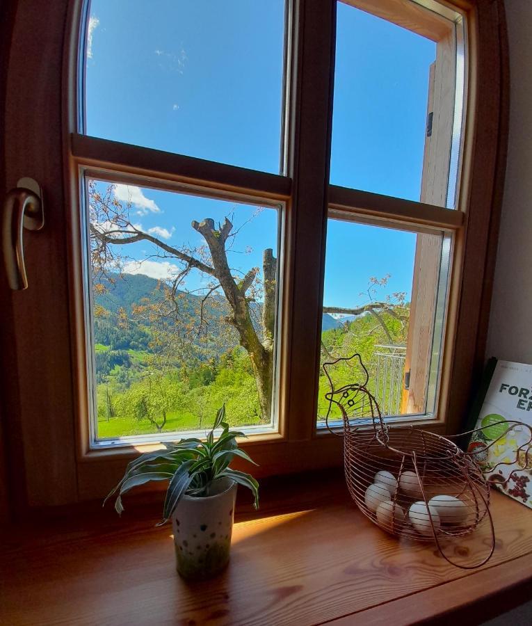 B&B Chalet Dolomiti Sant'Orsola Zewnętrze zdjęcie