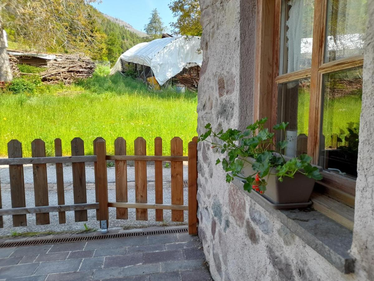 B&B Chalet Dolomiti Sant'Orsola Zewnętrze zdjęcie