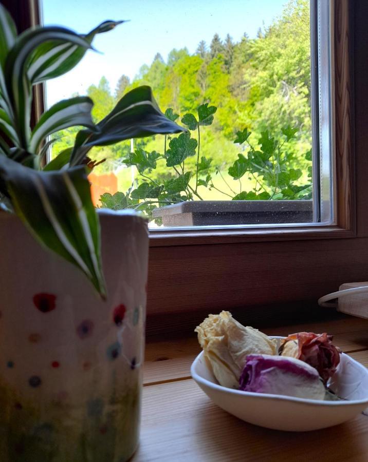 B&B Chalet Dolomiti Sant'Orsola Zewnętrze zdjęcie