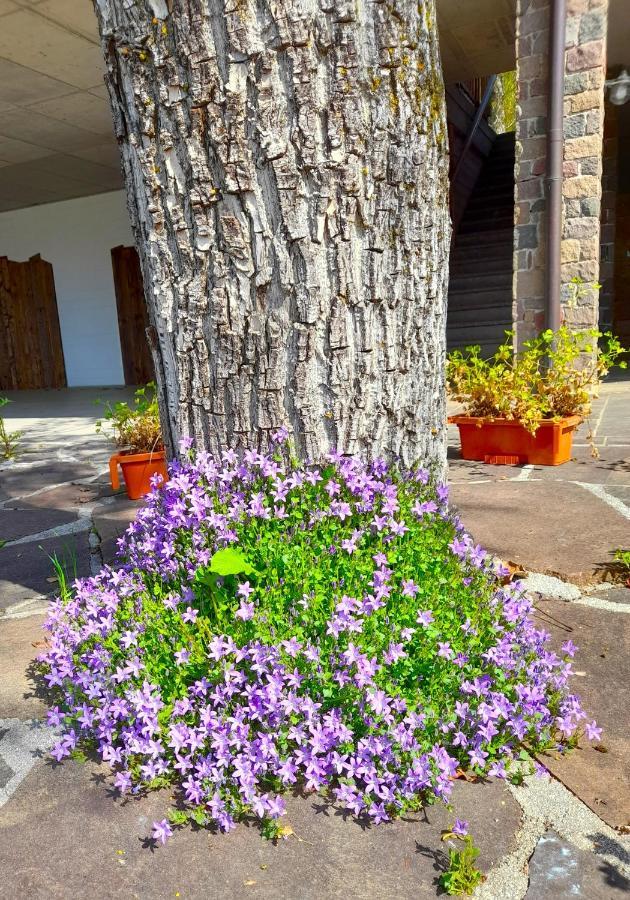 B&B Chalet Dolomiti Sant'Orsola Zewnętrze zdjęcie