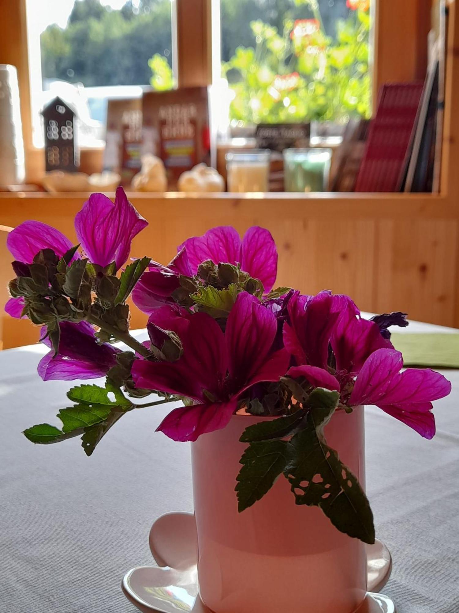 B&B Chalet Dolomiti Sant'Orsola Zewnętrze zdjęcie
